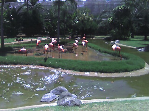 Zoo